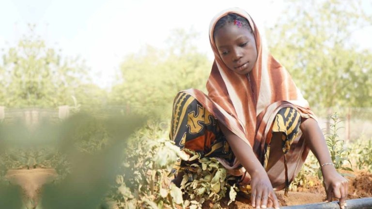 Nettside, rådgivning og support for Plan International